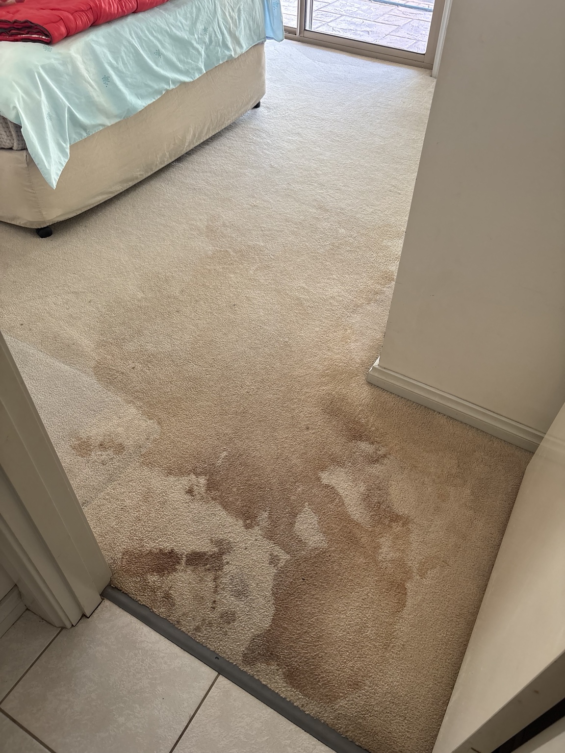 Brown flood-related staining on carpet before browning treatment in Molendinar