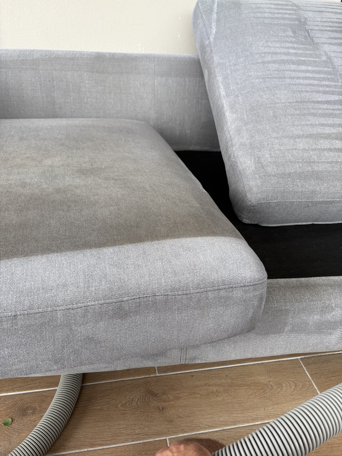 Sofa cushions during deep upholstery cleaning in Upper Coomera